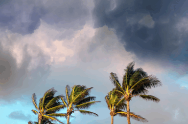 Tall palm trees sway under a dramatic, cloudy sky with patches of sunlight, as nearby buildings hint at the need for home protection during storm season.